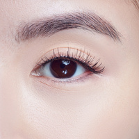 KISS Rzęsy 1 para Natural KEH02H1