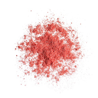 REVOLUTION Precious Stone Loose Highlighter Rozświetlacz Ruby Crush  5g