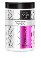 PROSALON PROFESSIONAL Basic Care Color Art Wzmacniająca Maska do włosów - Ceramides 1000ml