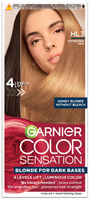 GAR COLOR SENSATION HL3 8.31 Brown Hair