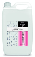 PROSALON PROFESSIONAL Basic Care Color Art Wzmacniający Szampon do włosów - Ceramides 5000ml