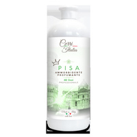 CORRI D`ITALIA Konc. do płuk.1000ml PISA
