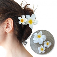 ECARLA Klamra do włosów 3w1 + 2 szt. mini spinek SP391