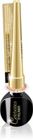 EVELINE Celebrities Eyeliner ultraprecyzyjny w kałamarzu Wildlash black 3 ml
